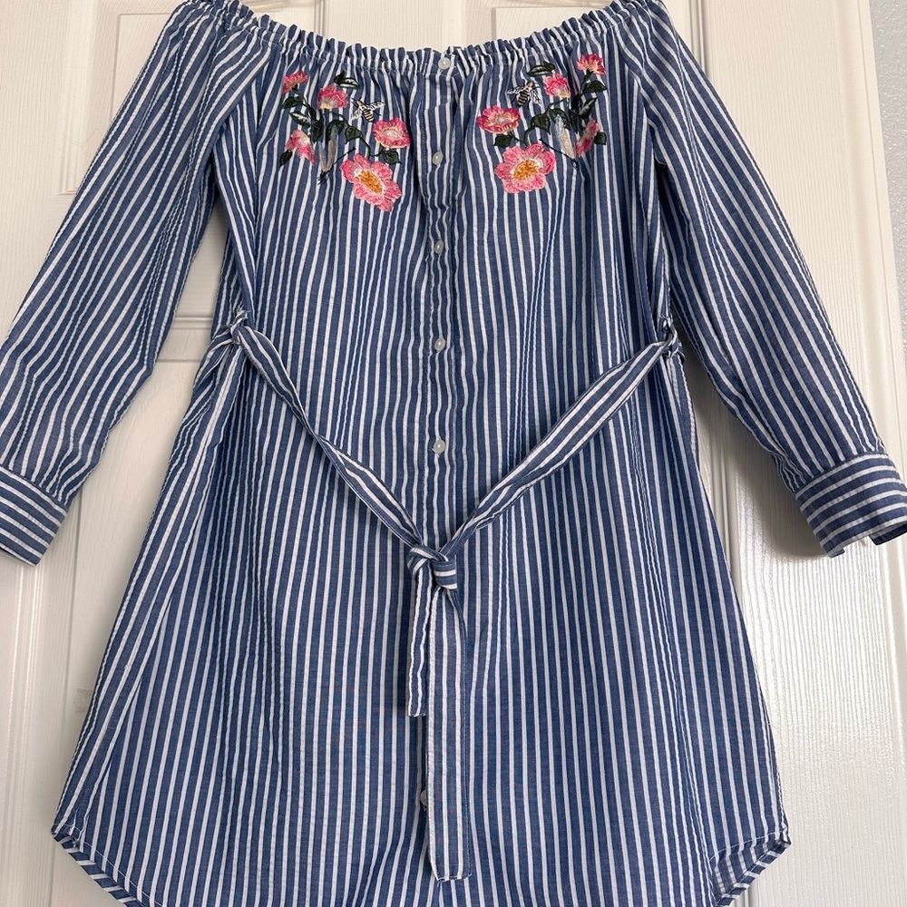 Cotton On Blue Striped Mini Dress with Floral Embroidery